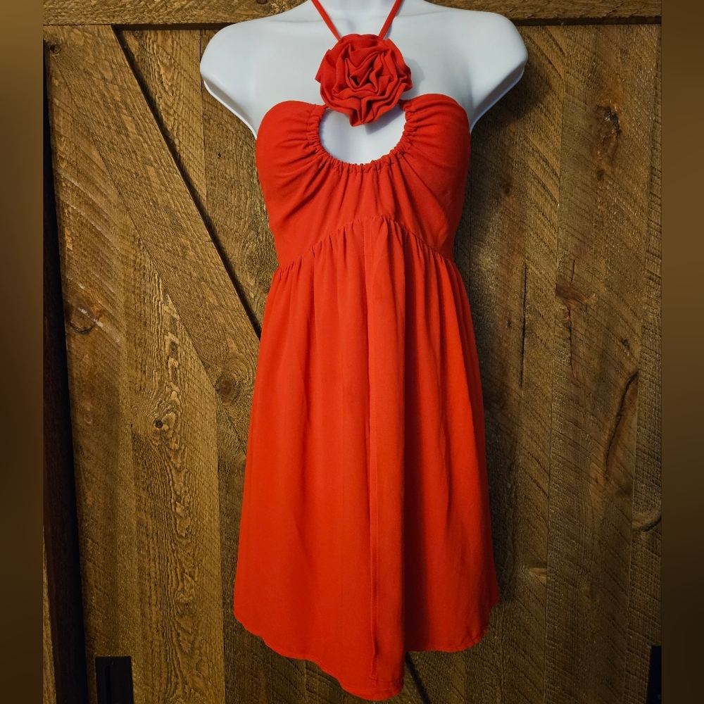 Hello Lady in Red - Picture 3 of 6